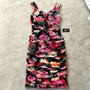 Express Floral Dress